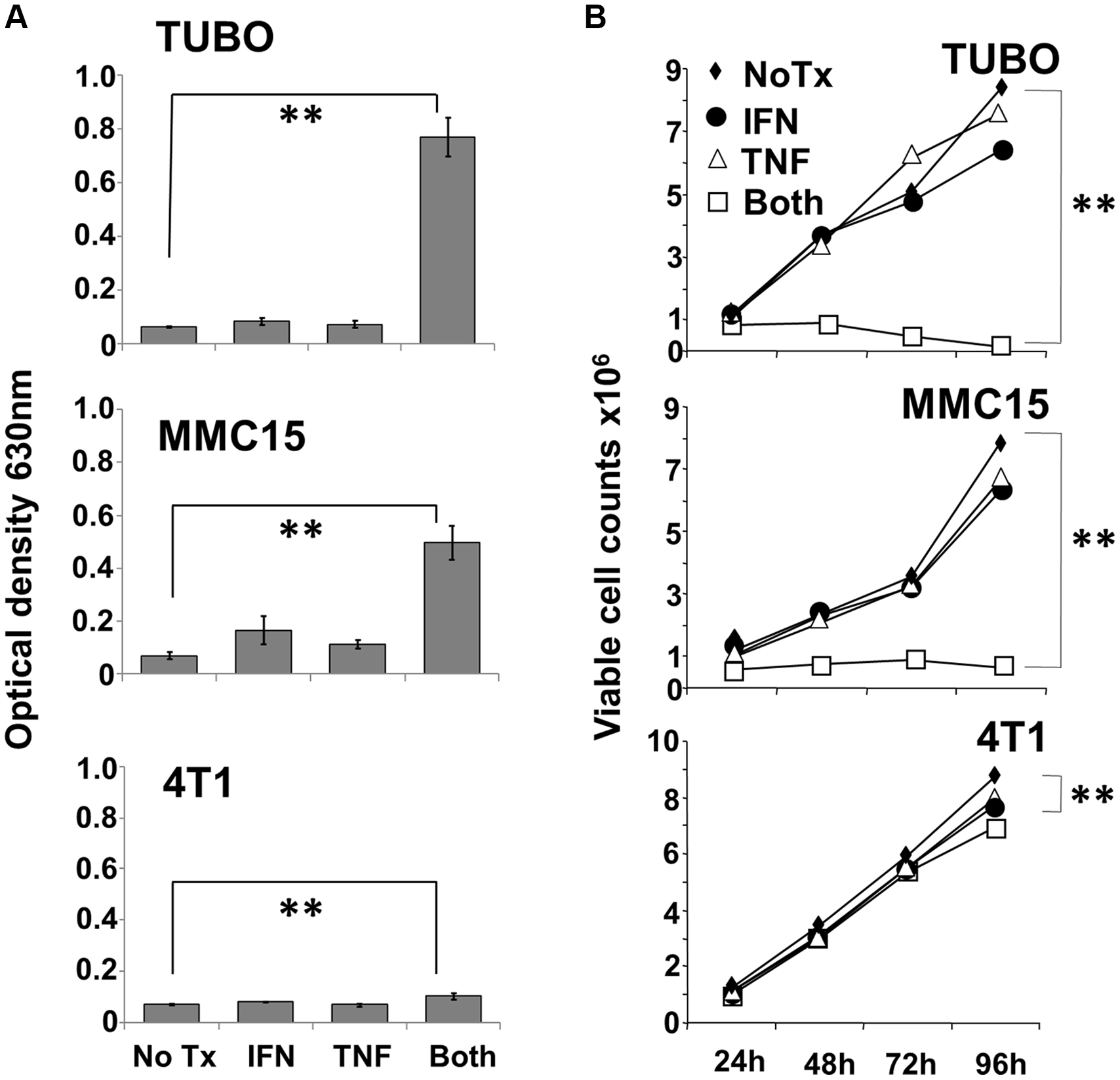Effect of Th1 cytokines on metabolic activity and proliferation of murine breast cancer cell lines