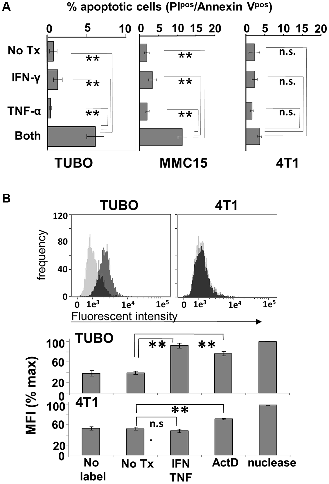 Induction of apoptosis by Th1 cytokines