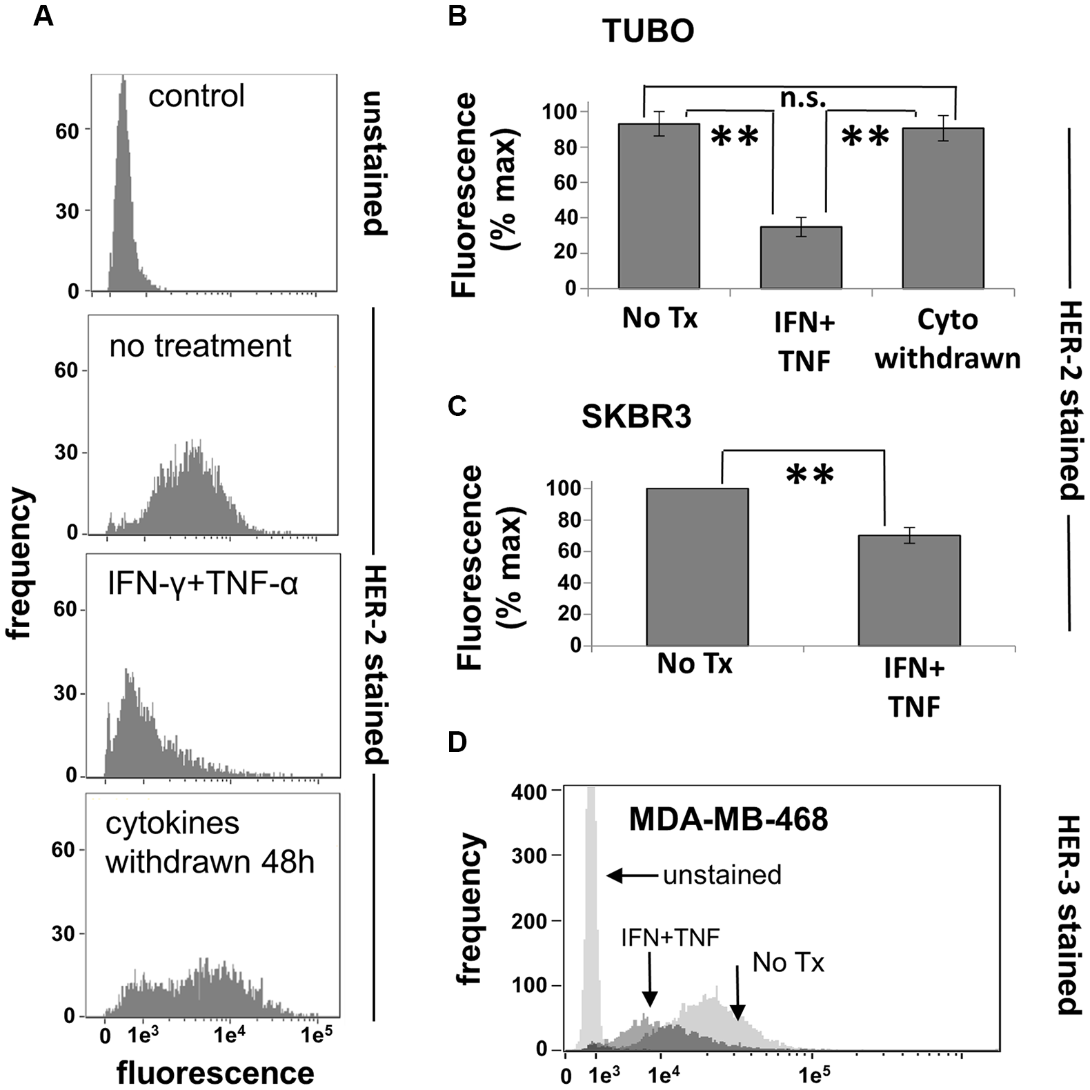 Th1 cytokines alter HER-family expression on murine and human breast cancer cells
