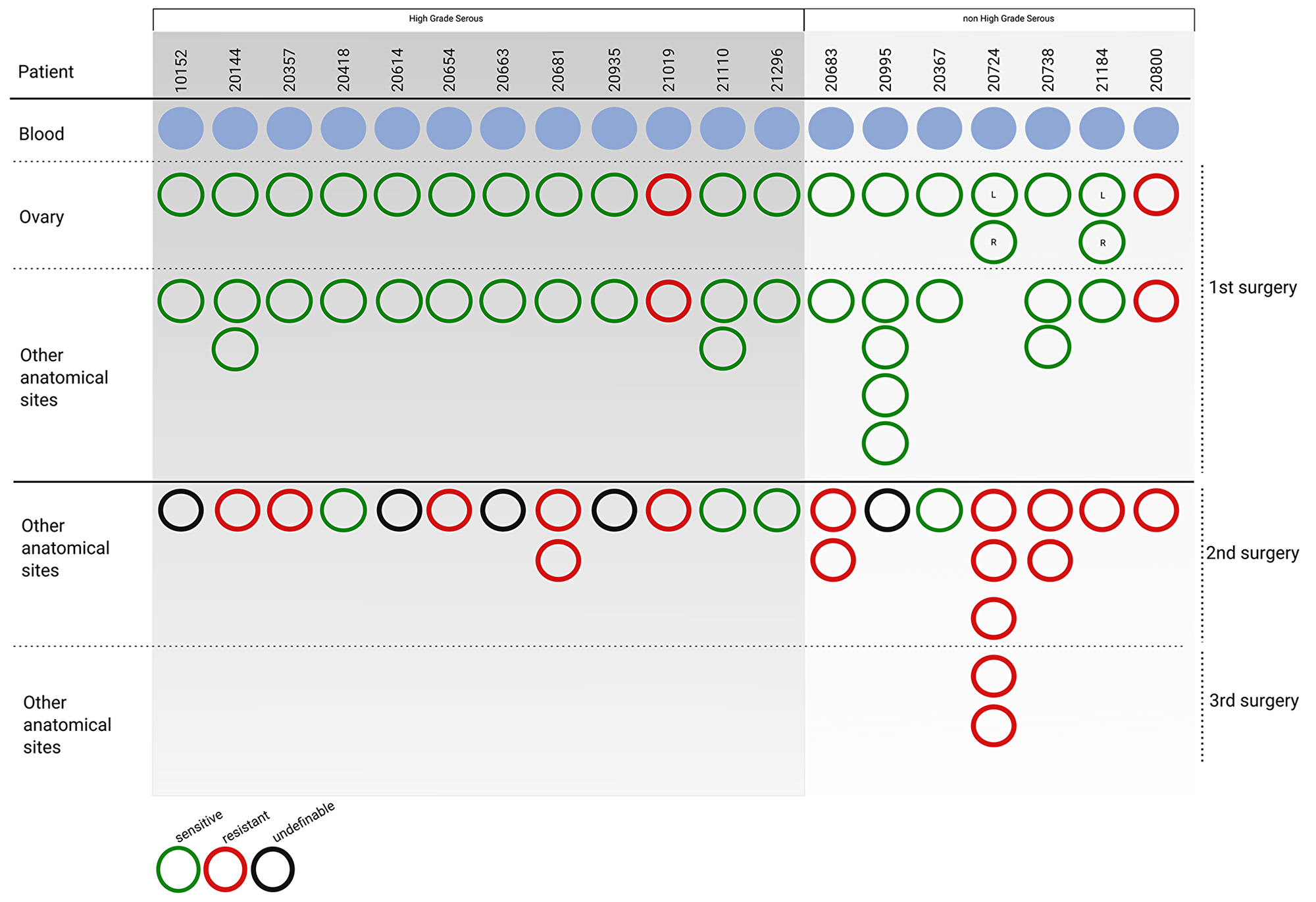 Patient cohort enrolled in the study