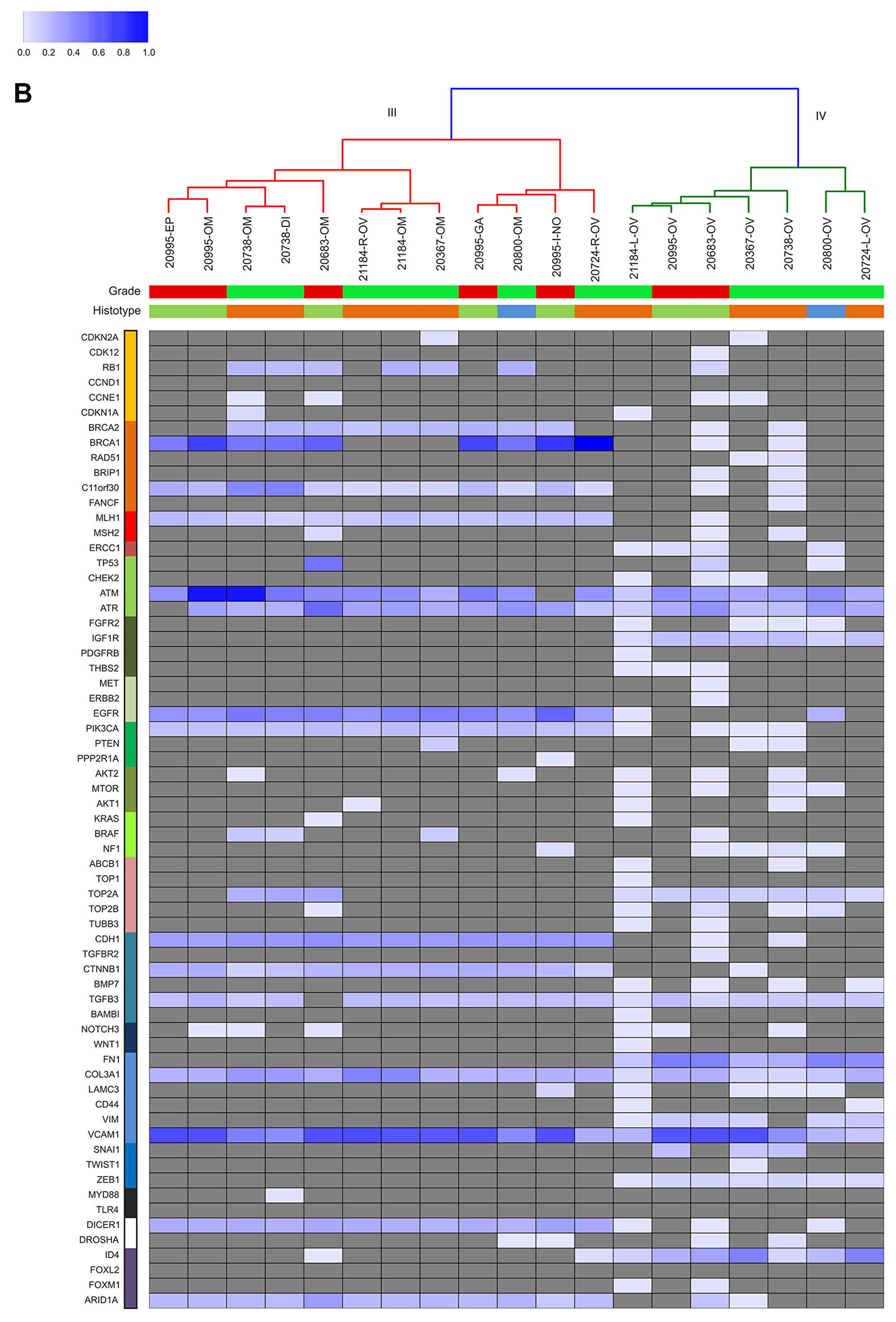 Unsupervised cluster analysis