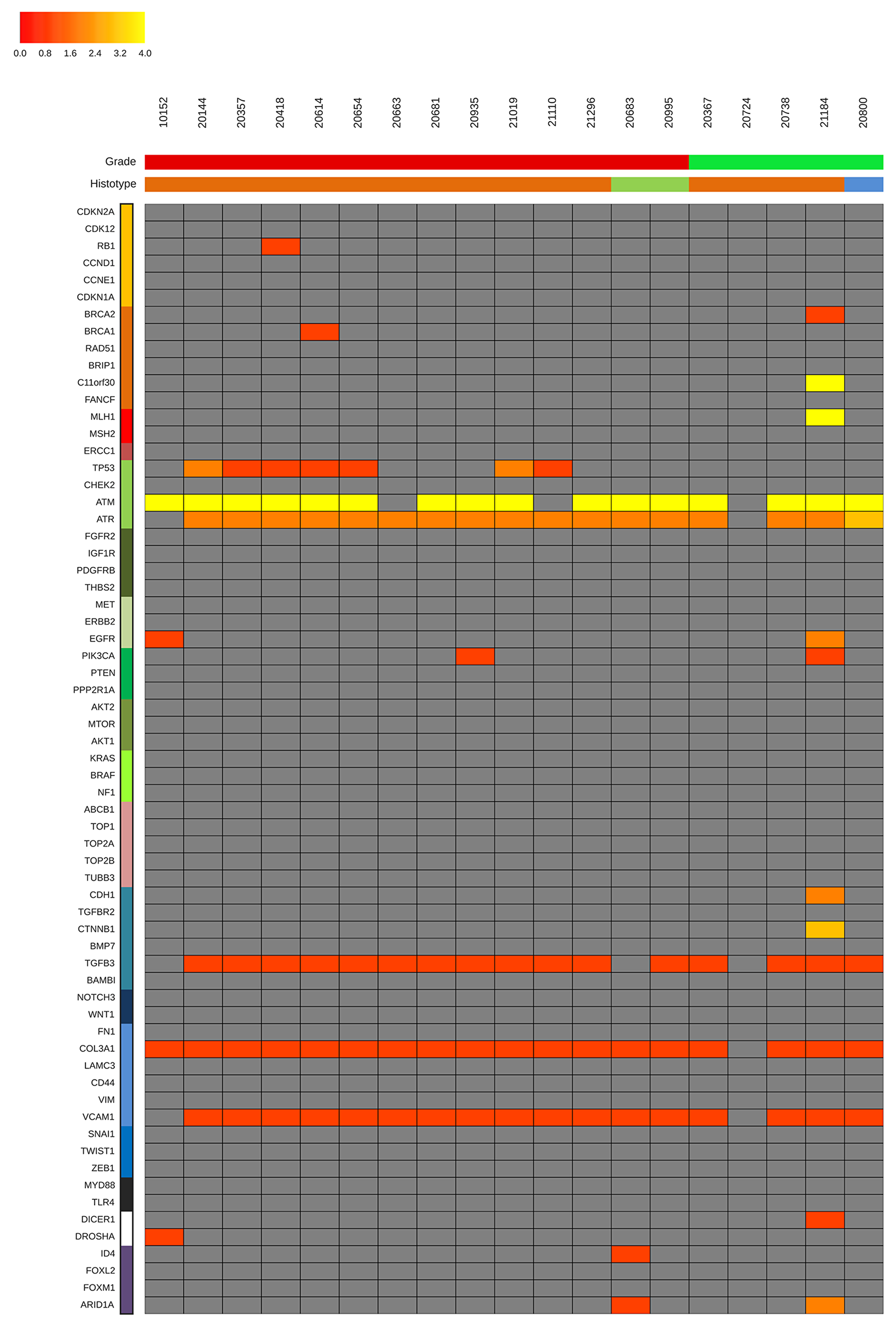 Concordant somatic mutations