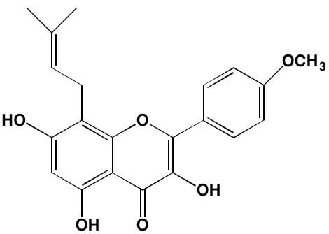 Image4378444.PNG