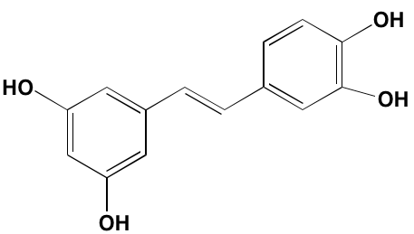 Image4378467.PNG