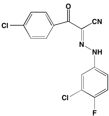 Image4378475.PNG