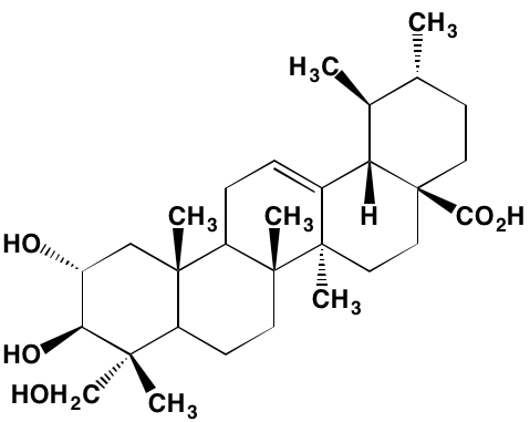 Image4378573.PNG