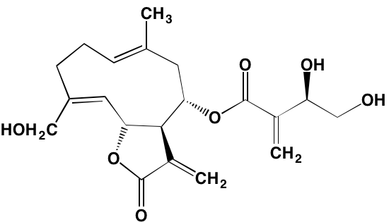 Image24415275.PNG