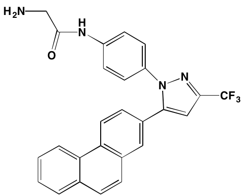 Image24283644.PNG