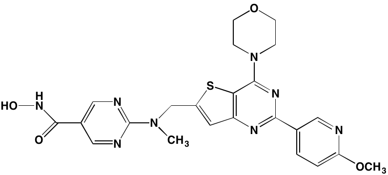 Image24283618.PNG