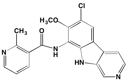 Image4530829.PNG