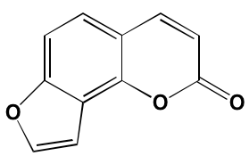 Image4530822.PNG