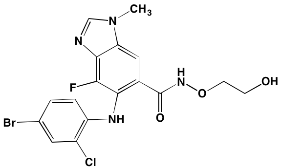 Image4517186.PNG