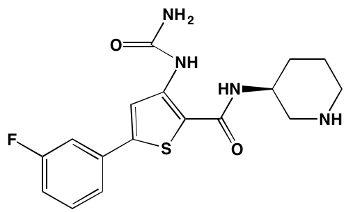 Image4498017.PNG