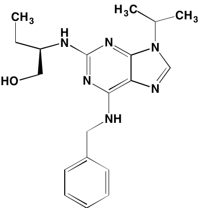 Image4498008.PNG