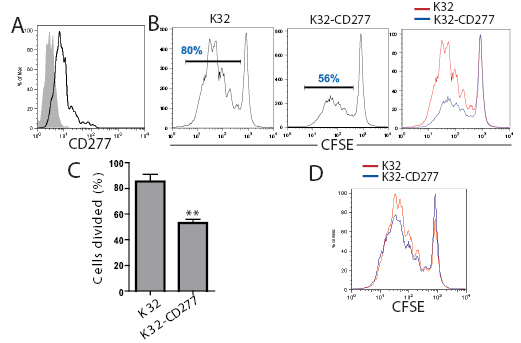 Fig2.eps
