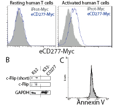 Fig3.eps