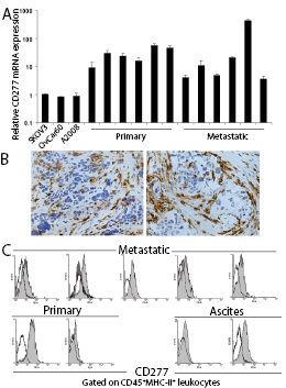 Fig5.eps