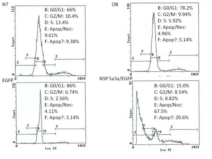 Figure_1..jpg