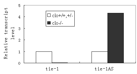 Figure_1.tif
