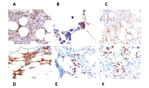 Valent-et-al-Figures.pdf
