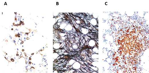 Valent-et-al-Figures.pdf