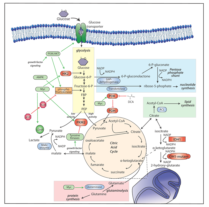 Wolf et al Figure 1.pdf