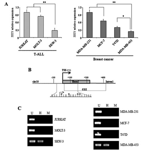 fig1