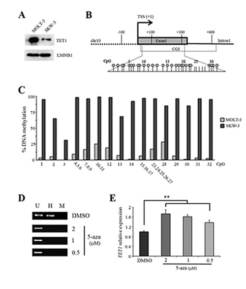 fig2