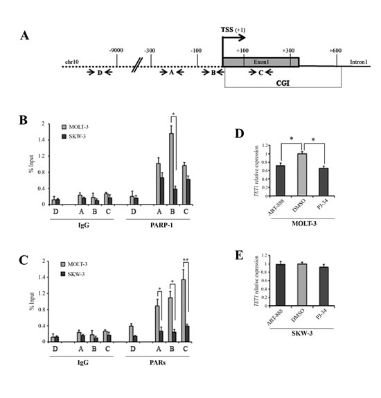 fig3