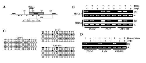 fig4