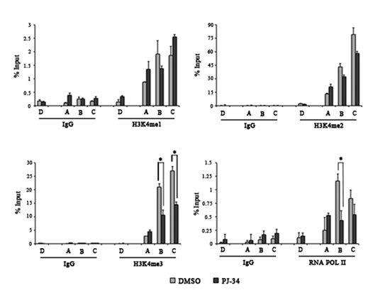 fig5