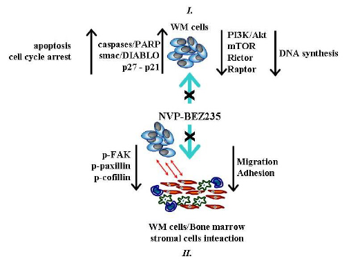 SACCO ROCCARO GHOBRIAL review oncotarget.pdf