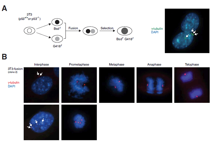 Figure 2.eps