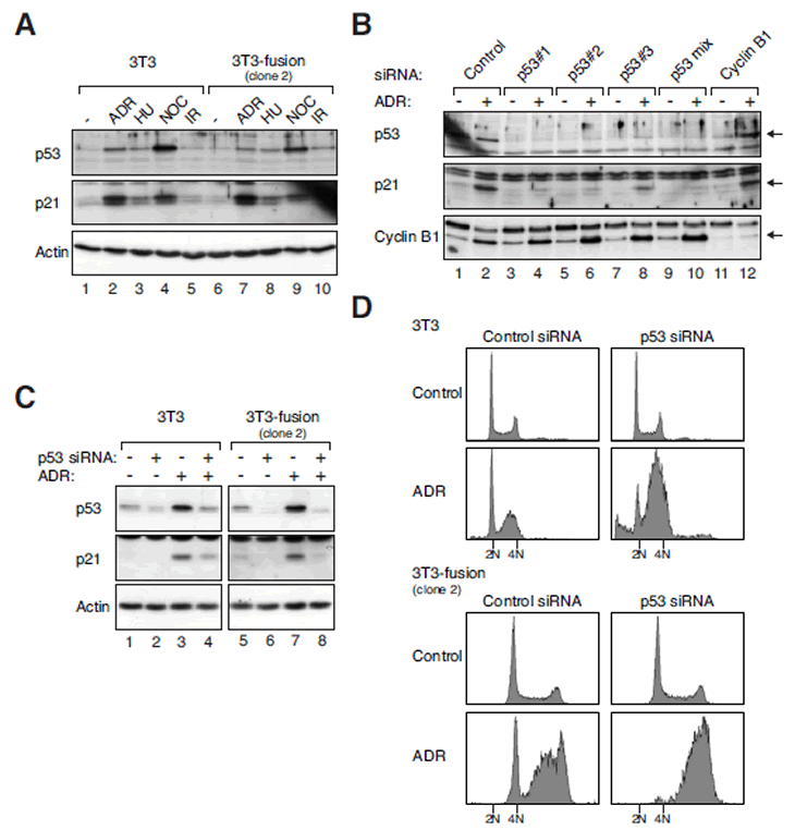 Figure 6.eps