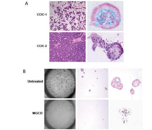 Sikandar et al 2010.pdf