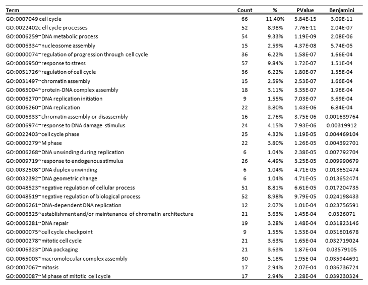 table2