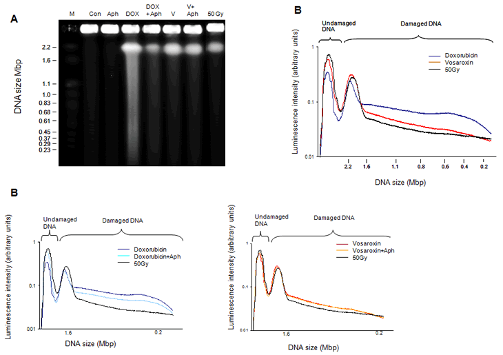 Hawtin et al Fig 2.pdf