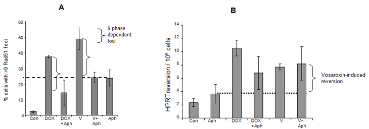 Hawtin et al Fig 4.pdf