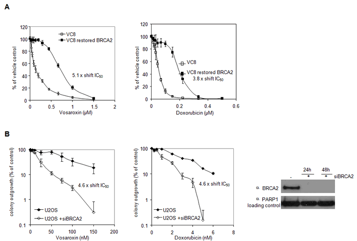 Hawtin et al Fig 6.pdf