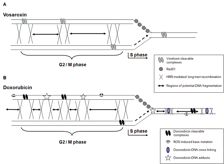 Hawtin et al Fig 7.pdf