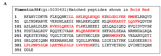 data for OncoTarget MS.pdf