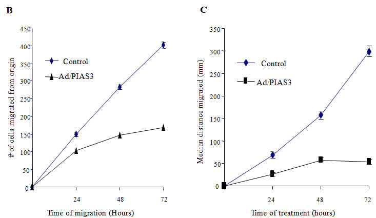 data for OncoTarget MS.pdf