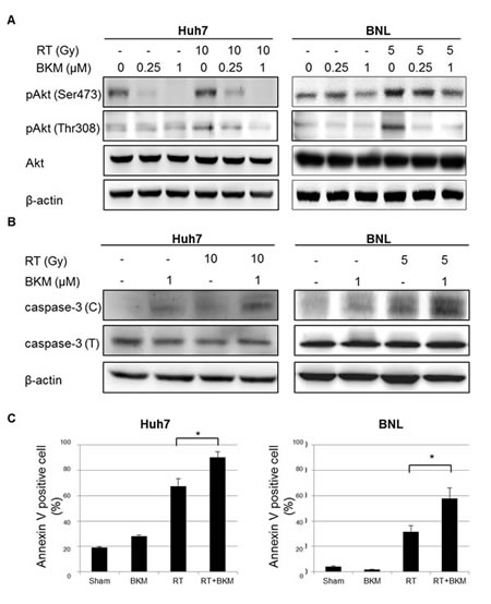 fig2