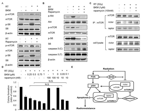 fig6