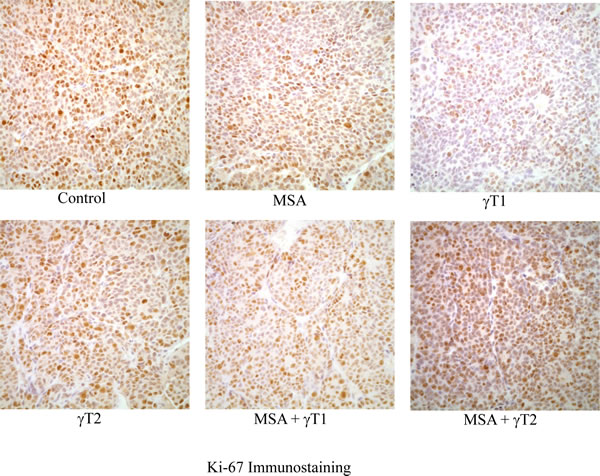 fig2