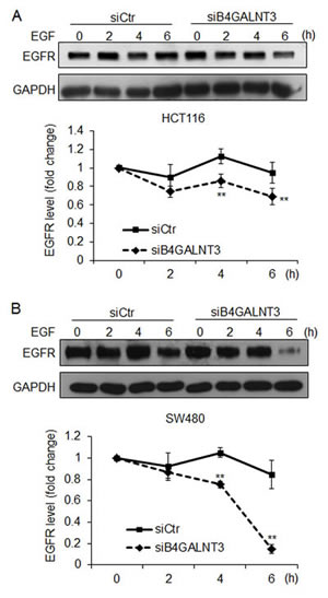 fig6