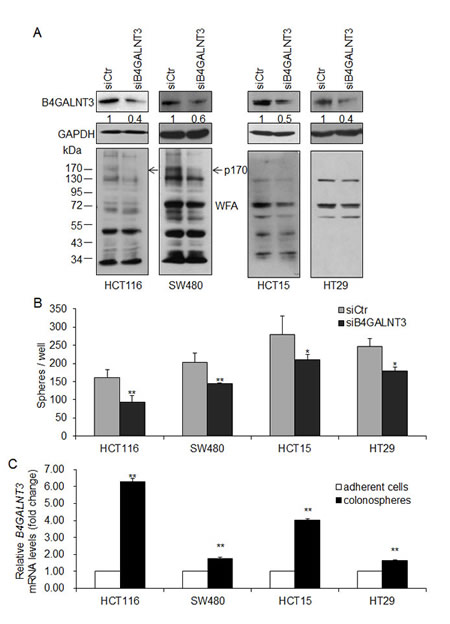 fig2