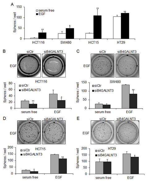 fig3