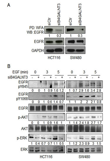 fig5