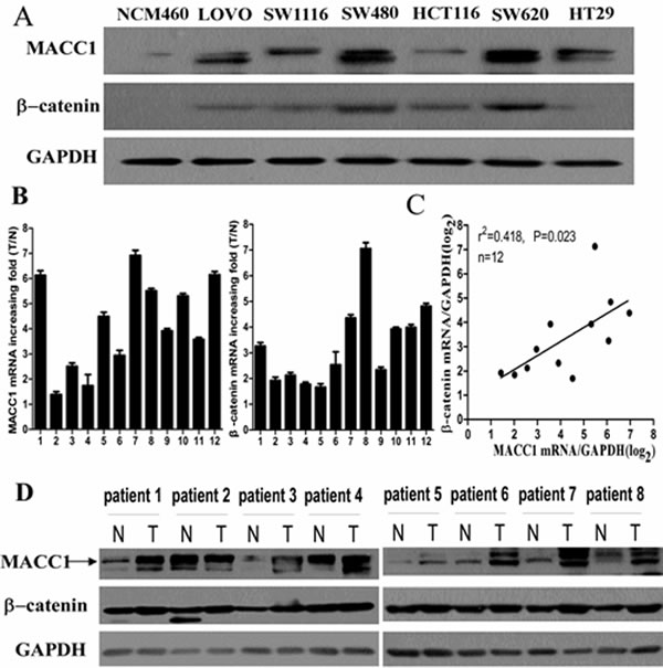 fig1